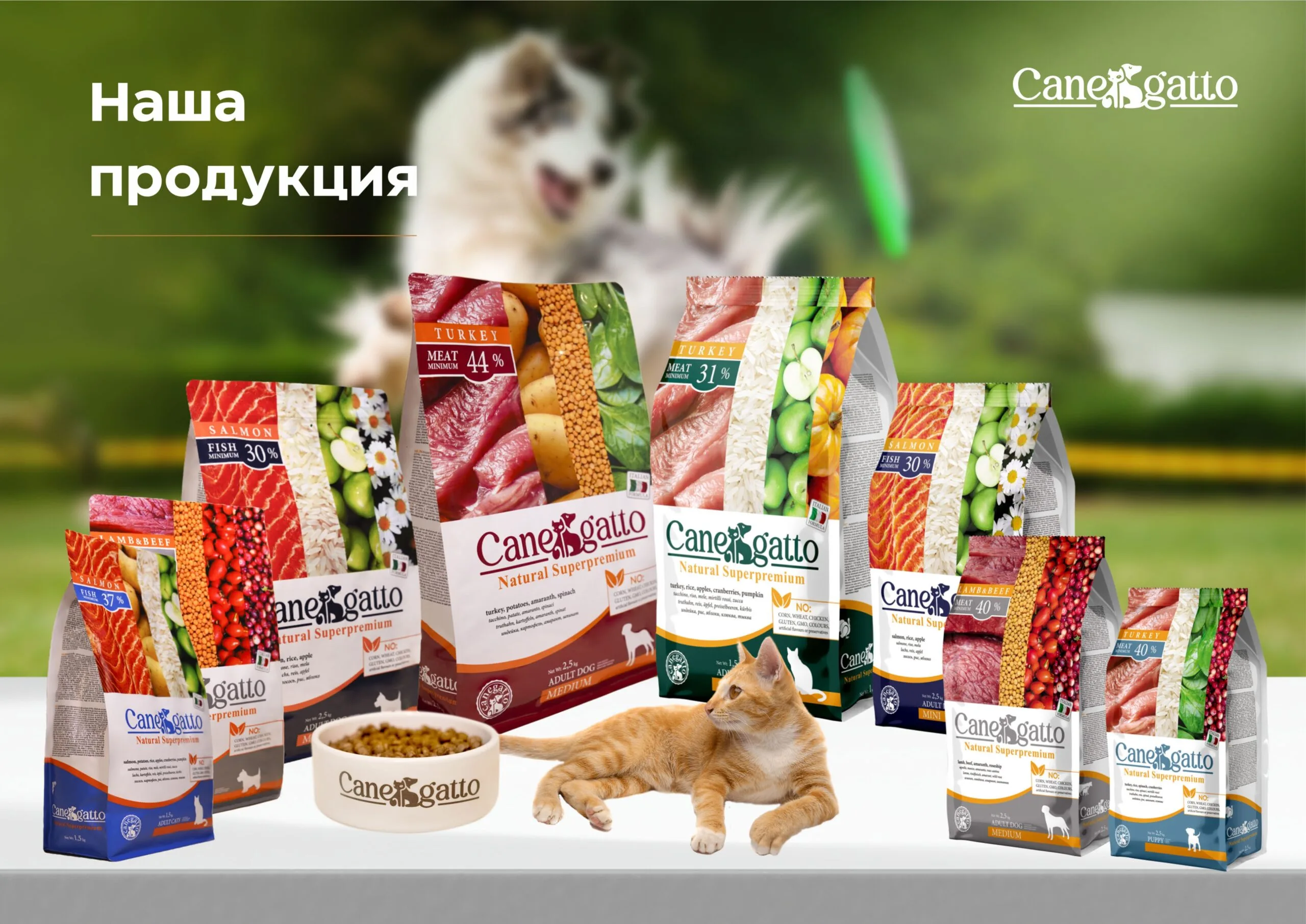 Корма для животных Canegatto Слайд 3