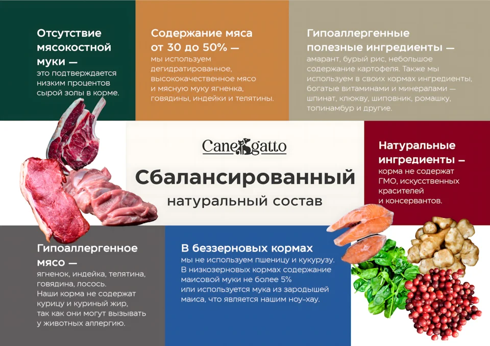 Корма для животных Canegatto Слайд 4