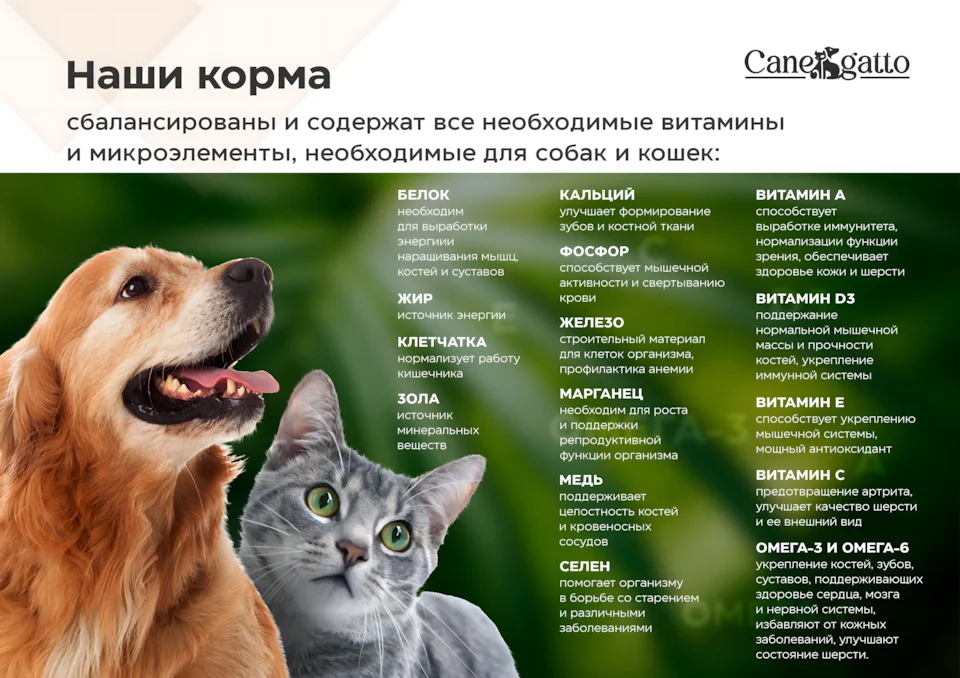 Корма для животных Canegatto Слайд 6